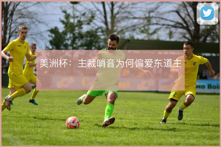 美洲杯:主裁哨音为何偏爱东道主